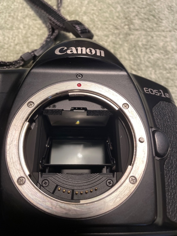 EOS1N HS（カメラ）の商品画像 - 査定依頼日：2026年9月29日 - 最高査定価格：15,000円