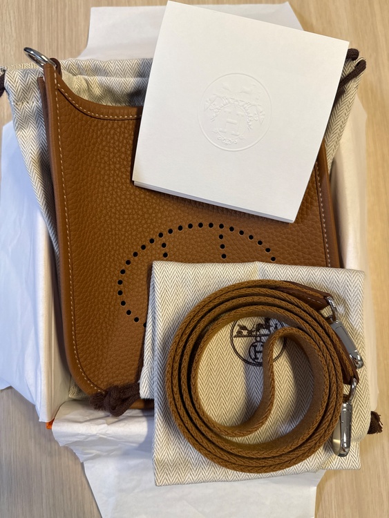 エブリンTPM（ブランドバッグ）の商品画像 - 査定依頼日：2026年4月19日 - 最高査定価格：400,000円