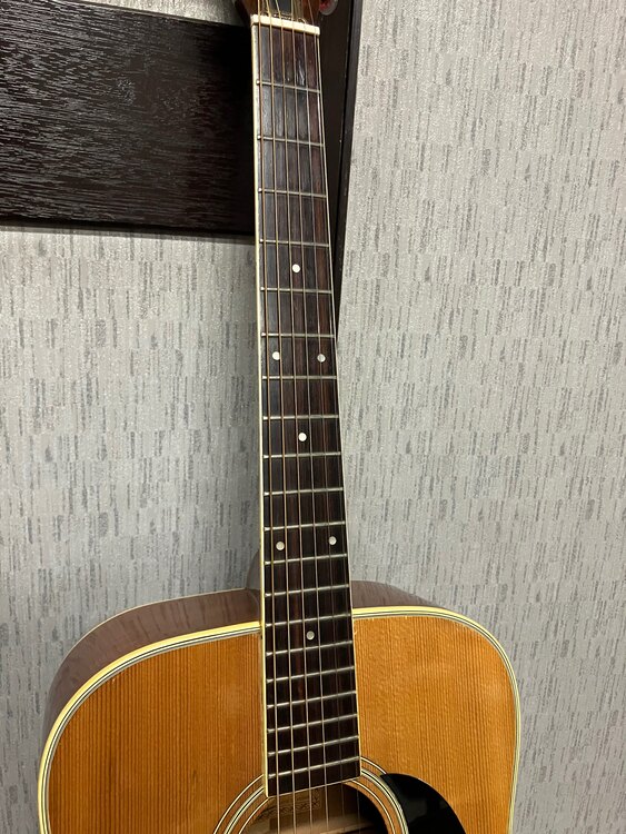 Morris W-20 アコースティックギター（ピアノ・楽器・PA機材）の商品画像 - 査定依頼日：2024年11月15日