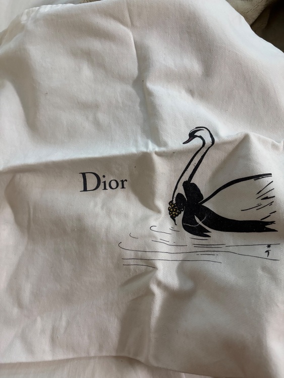 ディオール  （ブランドバッグ）の商品画像 - 査定依頼日：2025年7月18日 - 最高査定価格：250,000円