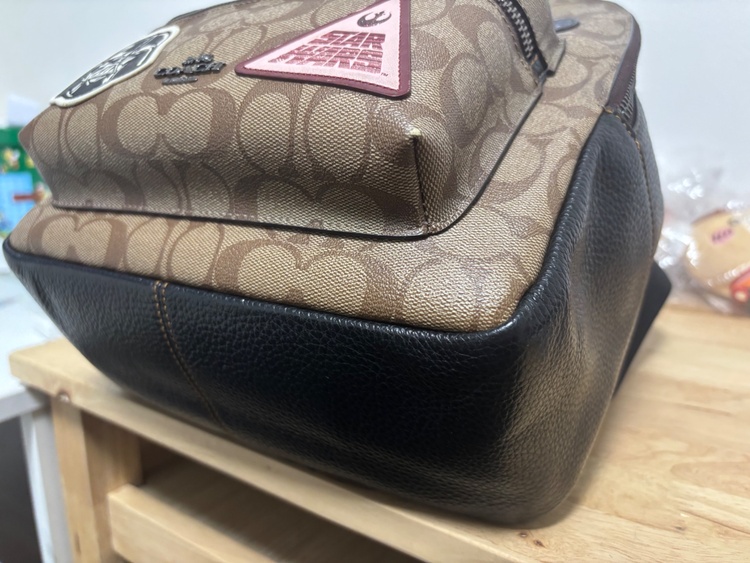 リュック（ブランドバッグ）の商品画像 - 査定依頼日：2026年2月5日 - 最高査定価格：5,000円