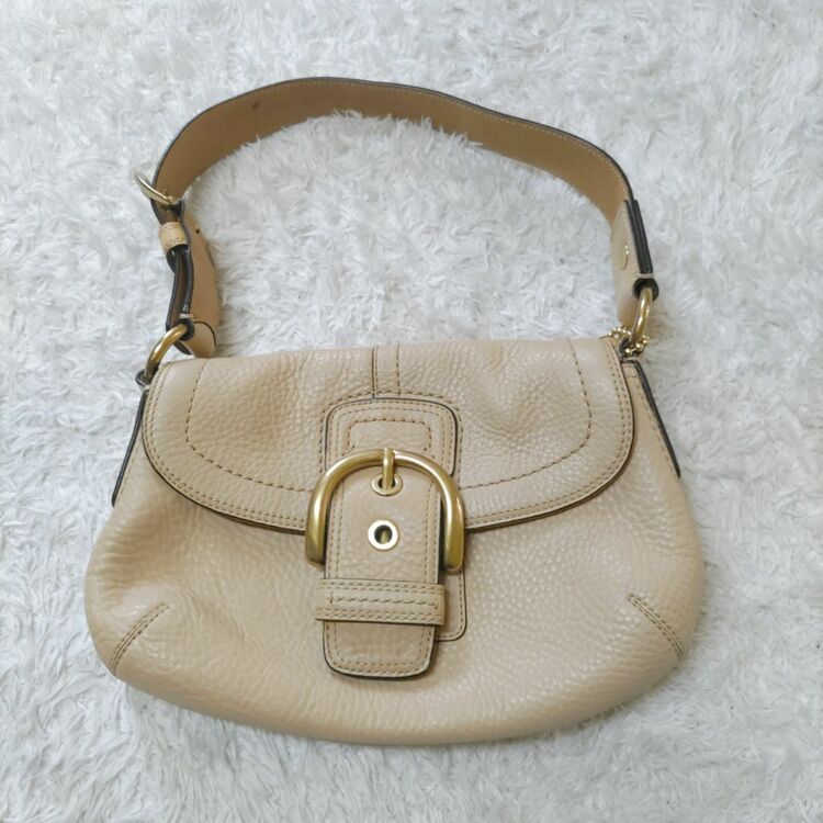 ショルダーバック（ブランドバッグ）の商品画像 - 査定依頼日：2025年6月22日 - 最高査定価格：3,000円