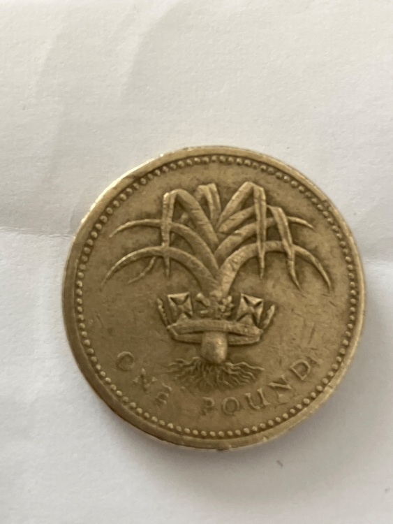 イギリス 1985年 1ポンド 逆エッジエラー（美術品・骨董品）の商品画像 - 査定依頼日：2025年11月17日 - 最高査定価格：20,000円