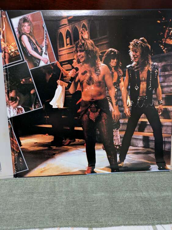 オジー・オズボーン（レコード）の商品画像 - 査定依頼日：2025年4月18日 - 最高査定価格：2,000円