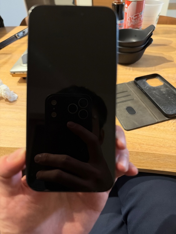 iPhone iPhone 15 Pro Max 256GB docomo（スマホ）の商品画像 - 査定依頼日：2026年10月3日 - 最高査定価格：106,000円