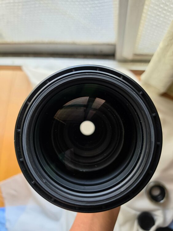 SIGMA 150-600mm F5-6.3 DG OS HSM Contemp（カメラ）の商品画像 - 査定依頼日：2026年8月4日 - 最高査定価格：110,000円