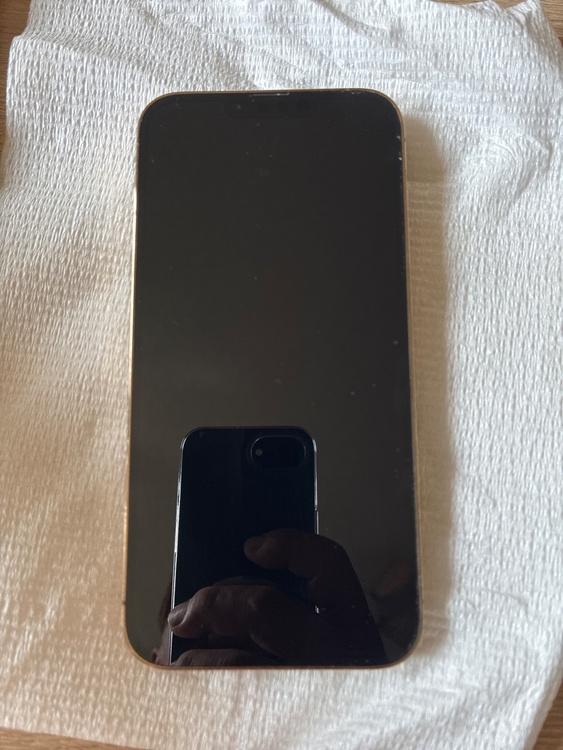 iPhone iPhone 13 Pro Max 128GB au（スマホ）の商品画像 - 査定依頼日：2026年9月13日 - 最高査定価格：54,000円