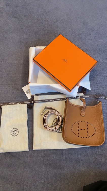 エブリンTPM（ブランドバッグ）の商品画像 - 査定依頼日：2025年6月5日 - 最高査定価格：380,000円