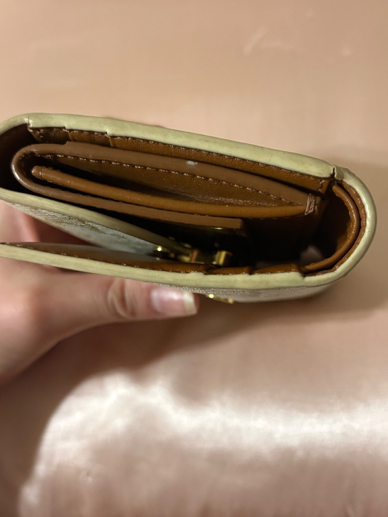 セリーヌ  （ブランドバッグ）の商品画像 - 査定依頼日：2025年6月23日 - 最高査定価格：31,000円