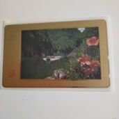 テレフォンカード（トレカ）の商品画像 - 査定依頼日：2025年6月18日 - 最高査定価格：310円