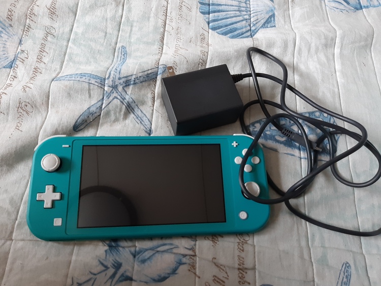 Nintendo Switchライト（ゲーム機本体・ゲームソフト）の商品画像 - 査定依頼日：2020年6月24日 - 最高査定価格：20,000円