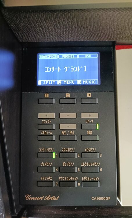CA9500GP（ピアノ・楽器・PA機材）の商品画像 - 査定依頼日：2026年4月5日 - 最高査定価格：5,000円