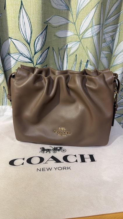 その他 コーチ （ブランドバッグ）の商品画像 - 査定依頼日：2026年3月3日 - 最高査定価格：2,500円
