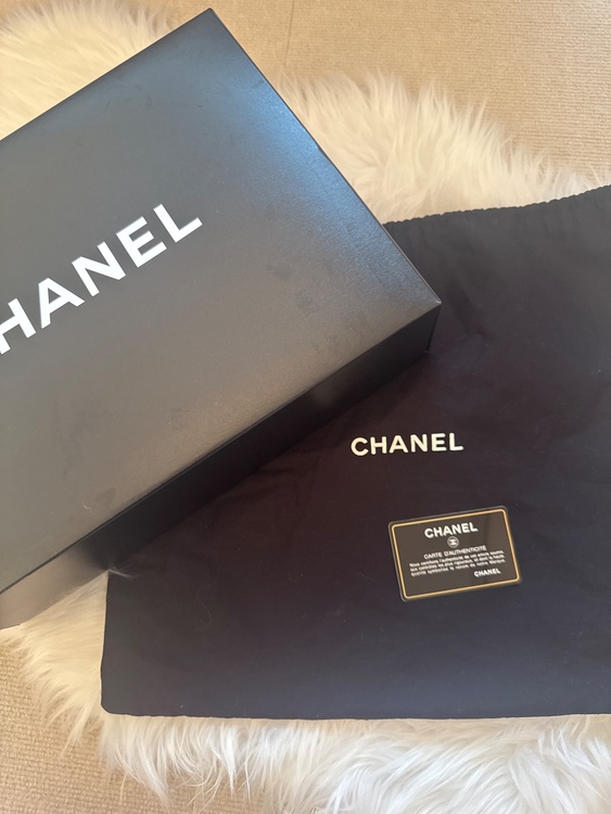 バイカラー（ブランドバッグ）の商品画像 - 査定依頼日：2026年3月6日 - 最高査定価格：350,000円