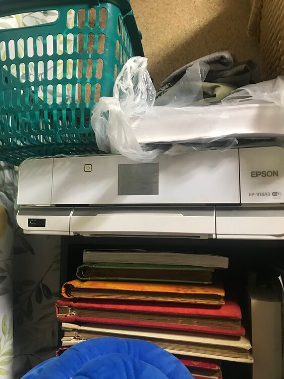 エプソンプリンター　EP-976A3（家電）の商品画像 - 査定依頼日：2025年1月21日 - 最高査定価格：10,000円