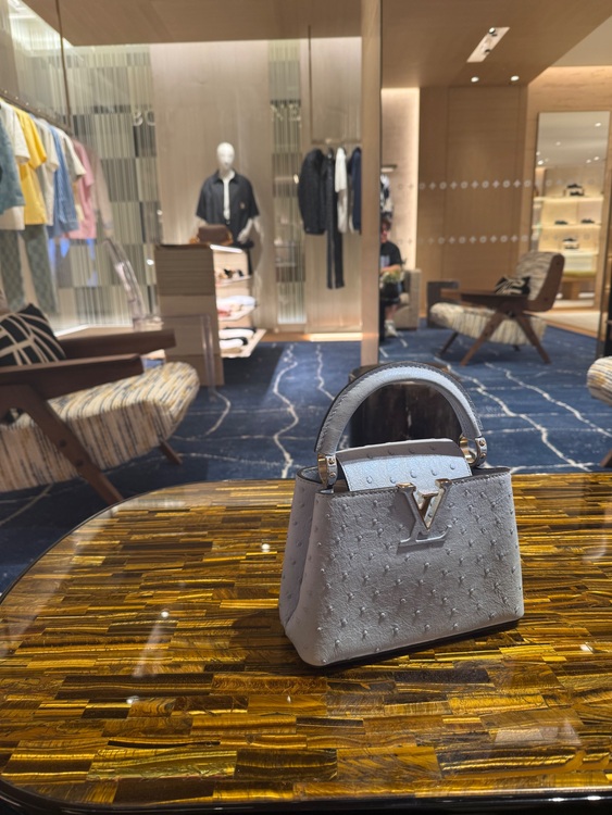 ルイヴィトン ルイヴィトン(その他) （ブランドバッグ）の商品画像 - 査定依頼日：2025年9月16日 - 最高査定価格：560,000円