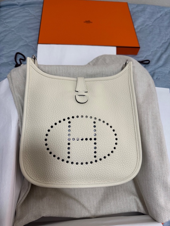 エブリンⅢ23（ブランドバッグ）の商品画像 - 査定依頼日：2026年1月18日 - 最高査定価格：500,000円