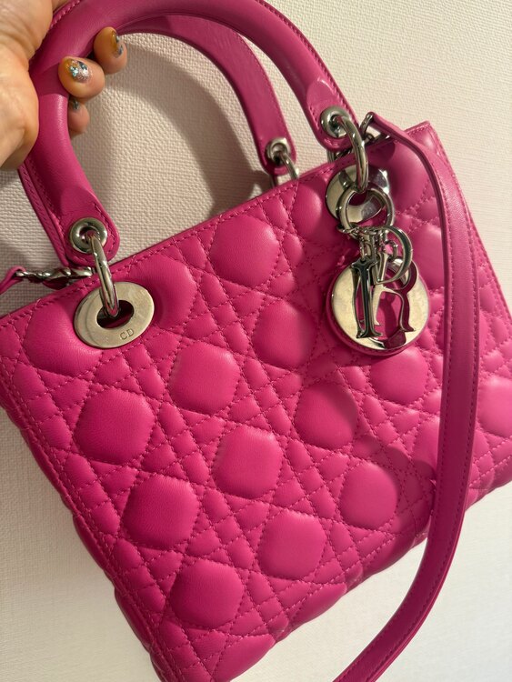 レディディオール（ブランドバッグ）の商品画像 - 査定依頼日：2025年2月23日 - 最高査定価格：110,000円