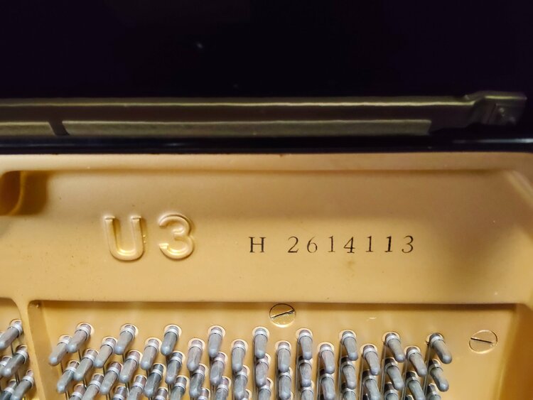 H2614113       (U3)（ピアノ・楽器・PA機材）の商品画像 - 査定依頼日：2026年3月11日 - 最高査定価格：10,000円