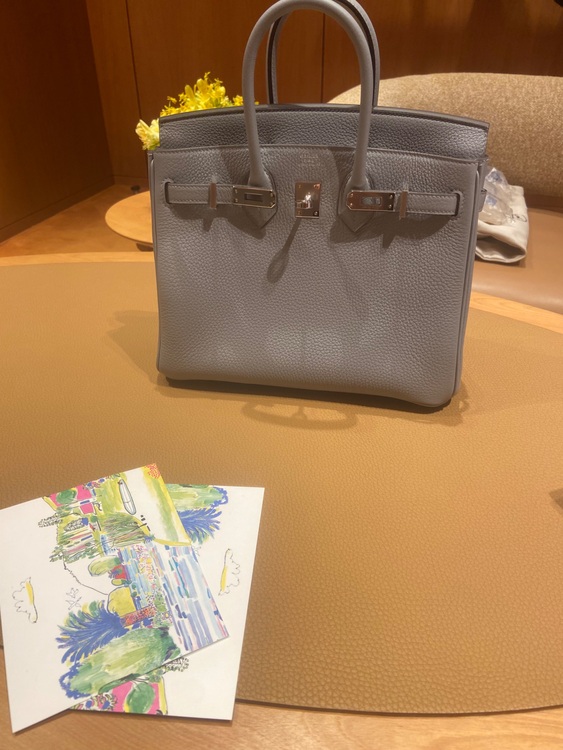 グリパンタン 25 シルバー金具（ブランドバッグ）の商品画像 - 査定依頼日：2025年9月9日 - 最高査定価格：2,880,000円