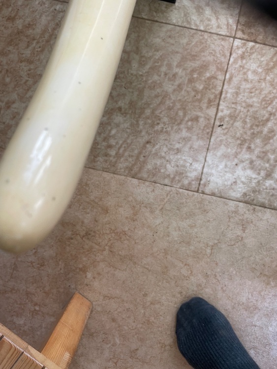 象牙　一本牙（美術品・骨董品）の商品画像 - 査定依頼日：2025年11月10日 - 最高査定価格：20,000円