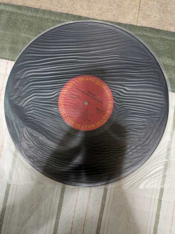 オジー・オズボーン（レコード）の商品画像 - 査定依頼日：2025年4月18日 - 最高査定価格：2,000円