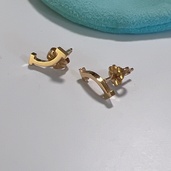 ティファニースマイルTピアス（金・貴金属）の商品画像 - 査定依頼日：2026年10月11日 - 最高査定価格：105,000円