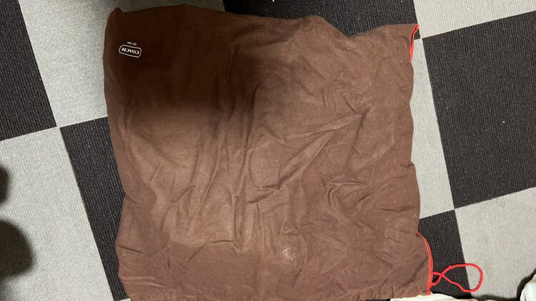 COACH 6083 ショルダーバッグ（ブランドバッグ）の商品画像 - 査定依頼日：2025年4月2日 - 最高査定価格：1,500円