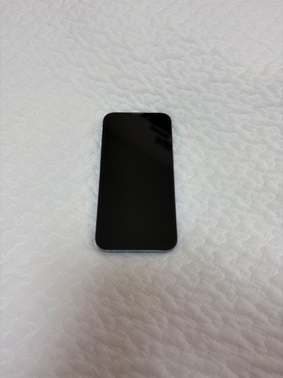 iPhone 13 Pro 256GB SIMフリー（スマホ）の商品画像 - 査定依頼日：2026年1月28日 - 最高査定価格：53,000円