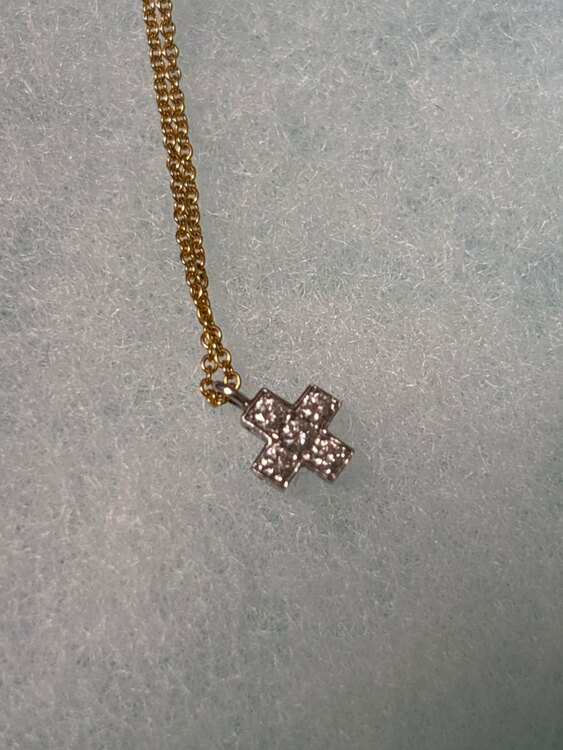 ディファニー　クロスネックレス（宝石）の商品画像 - 査定依頼日：2025年2月4日 - 最高査定価格：100,000円