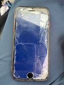 iPhone SE (第 2 世代) 64GB Softbank（スマホ）の商品画像 - 査定依頼日：2026年4月9日 - 最高査定価格：10,000円