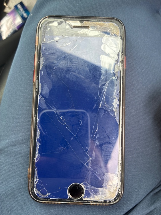 iPhone SE (第 2 世代) 64GB Softbank（スマホ）の商品画像 - 査定依頼日：2026年4月9日 - 最高査定価格：10,000円