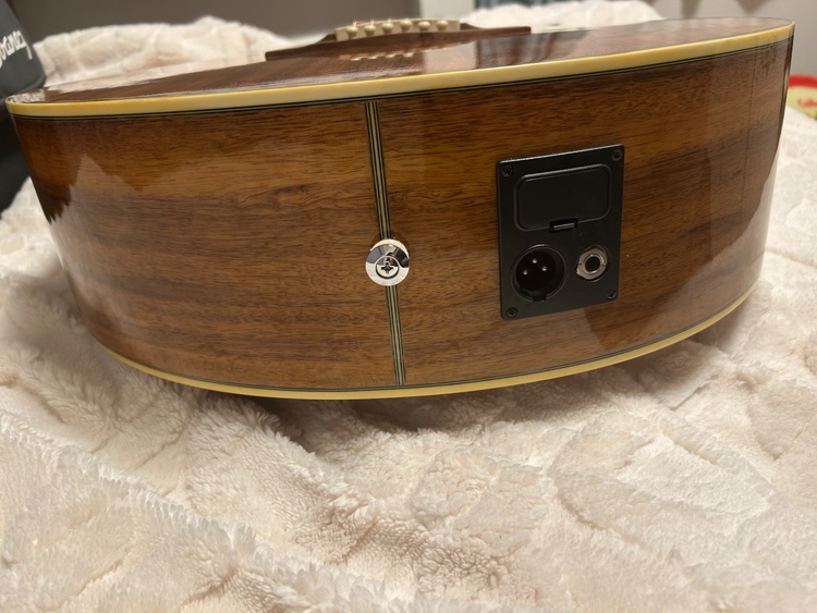 Ibanez ew20koent120（ピアノ・楽器・PA機材）の商品画像 - 査定依頼日：2025年12月10日 - 最高査定価格：22,000円