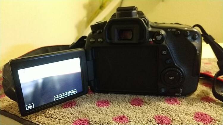 CanonEOS80d（カメラ）の商品画像 - 査定依頼日：2026年4月26日 - 最高査定価格：43,100円