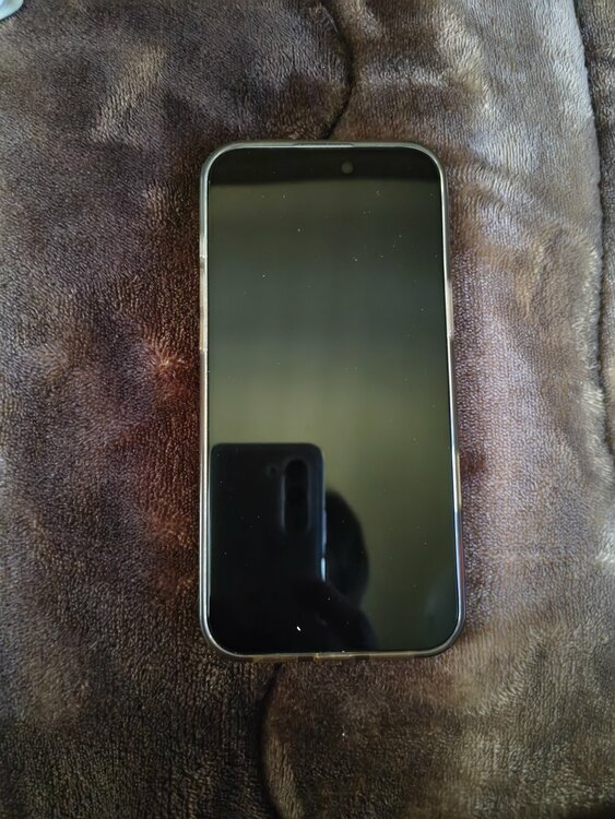 iPhone 16 Plus 512GB SIMフリー（スマホ）の商品画像 - 査定依頼日：2026年3月24日 - 最高査定価格：106,000円