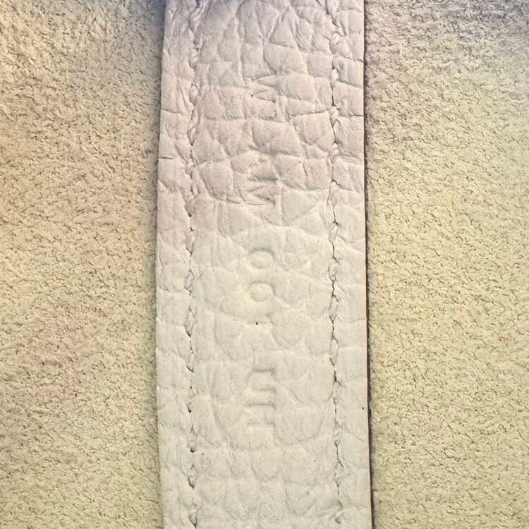 ピコタン（ブランドバッグ）の商品画像 - 査定依頼日：2025年5月27日 - 最高査定価格：500,000円