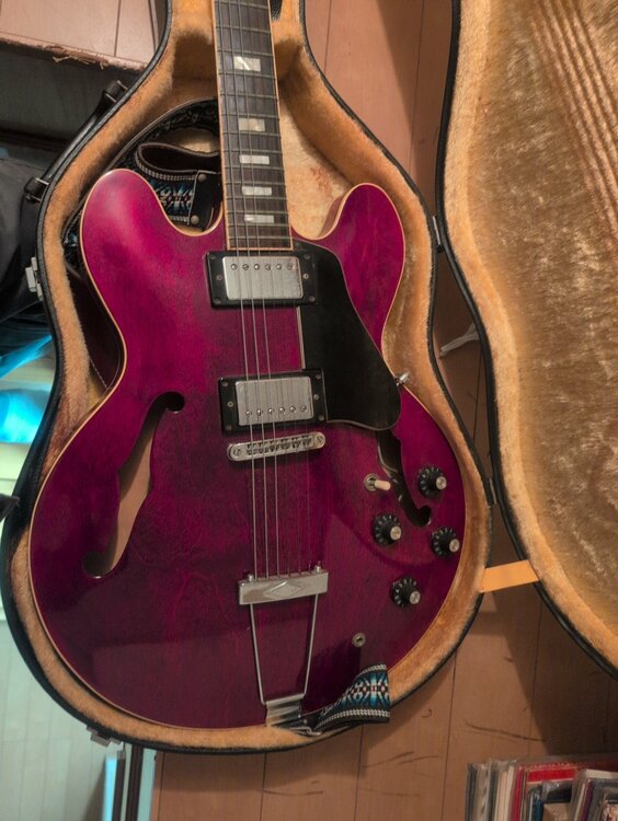 　Greco SA Series（ES-335系コピー）（ピアノ・楽器・PA機材）の商品画像 - 査定依頼日：2026年4月14日 - 最高査定価格：60,000円