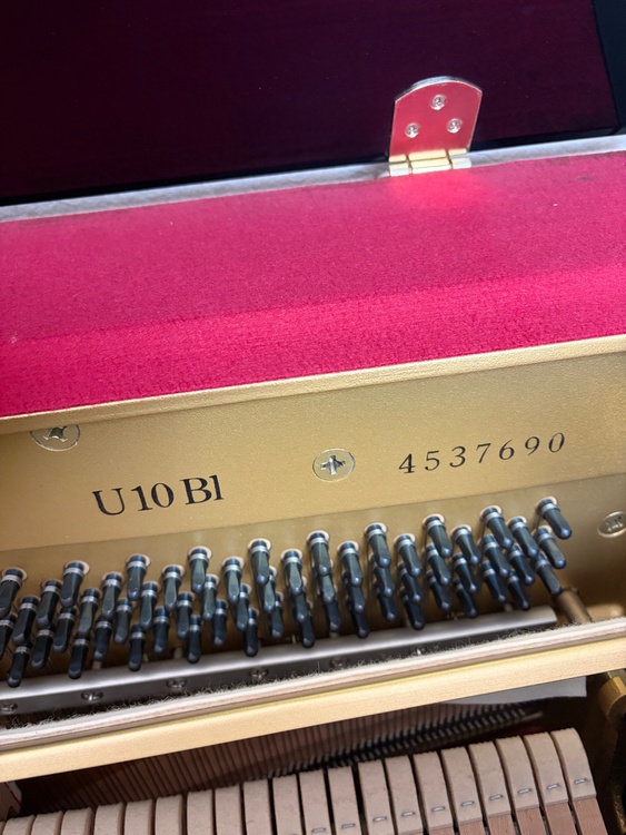 U10BI（ピアノ・楽器・PA機材）の商品画像 - 査定依頼日：2026年3月29日 - 最高査定価格：10,000円
