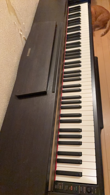 YDP-151（ピアノ・楽器・PA機材）の商品画像 - 査定依頼日：2026年3月18日 - 最高査定価格：5,000円