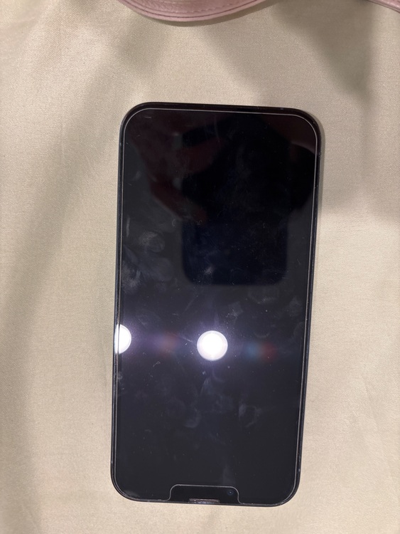 iPhone 13 Pro 256GB SIMフリー（スマホ）の商品画像 - 査定依頼日：2025年11月16日 - 最高査定価格：65,000円