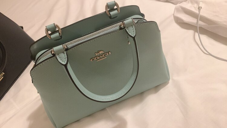 その他 コーチ （ブランドバッグ）の商品画像 - 査定依頼日：2025年5月13日 - 最高査定価格：5,000円