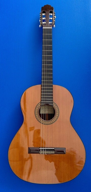 パウリーノベルナベＥー８（ピアノ・楽器・PA機材）の商品画像 - 査定依頼日：2025年9月21日 - 最高査定価格：180,000円