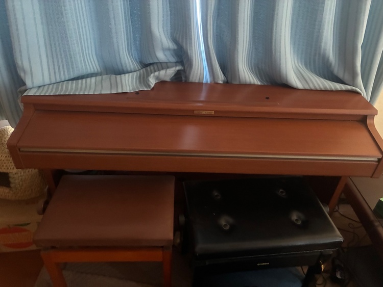 CN21C（ピアノ・楽器・PA機材）の商品画像 - 査定依頼日：2026年2月21日 - 最高査定価格：5,000円