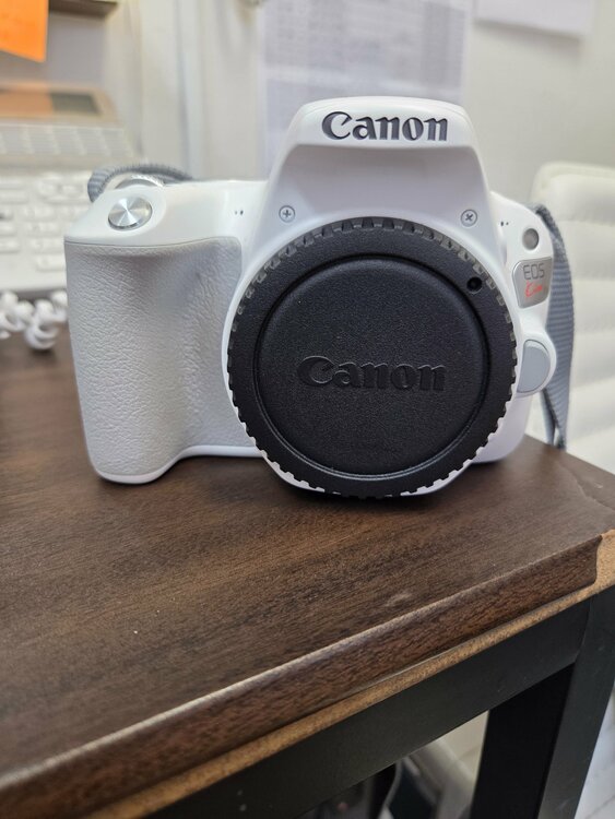 EOS Kiss X9（カメラ）の商品画像 - 査定依頼日：2026年3月4日 - 最高査定価格：38,000円