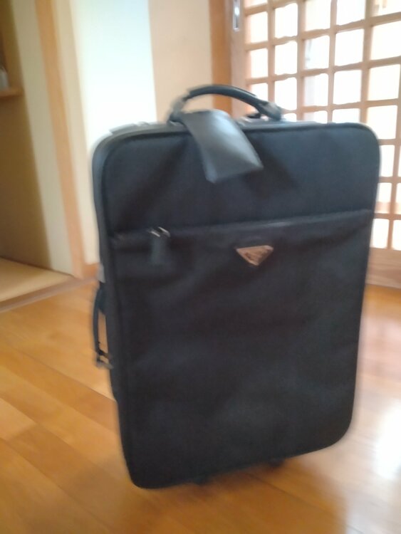 プラダ  （ブランドバッグ）の商品画像 - 査定依頼日：2026年3月22日 - 最高査定価格：32,000円