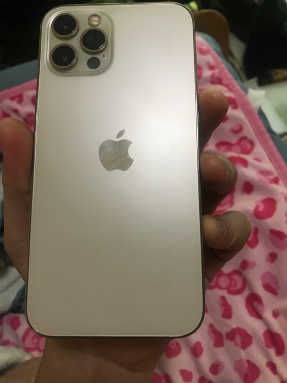 iPhone iPhone 12 256GB Softbank（スマホ）の商品画像 - 査定依頼日：2026年9月24日 - 最高査定価格：27,000円