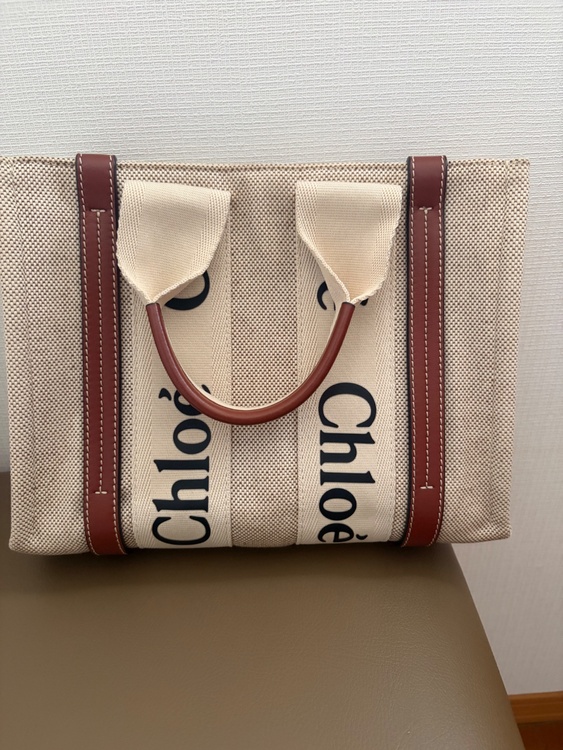 その他 クロエ （ブランドバッグ）の商品画像 - 査定依頼日：2026年3月21日 - 最高査定価格：50,000円