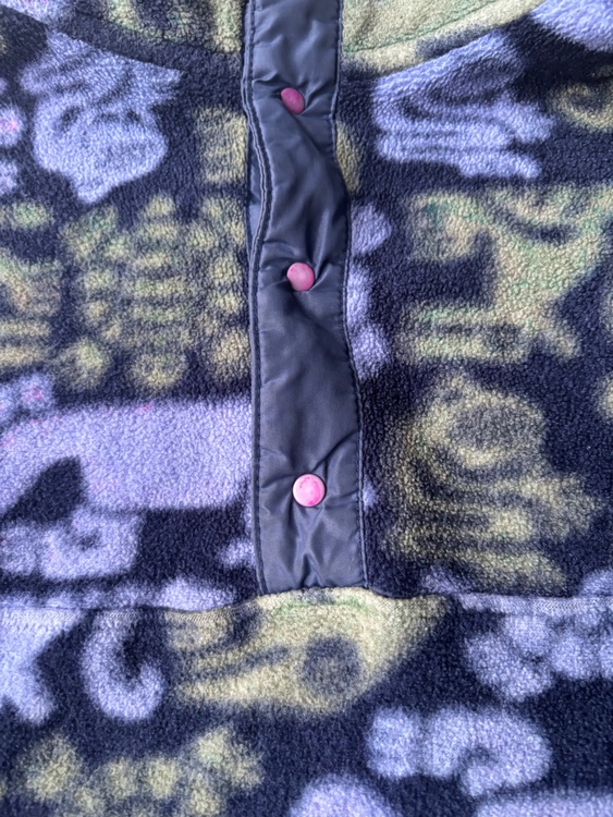 Patagonia  snapT クリーチャー（古着・ファッション）の商品画像 - 査定依頼日：2026年2月26日 - 最高査定価格：100,000円