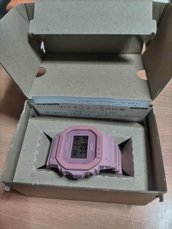 G-SHOCK その他 DW-5610SL-4A4JR（高級時計）の商品画像 - 査定依頼日：2026年2月16日 - 最高査定価格：4,500円