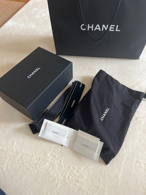 ヴァニティバッグ2023年クルーズコレクション（ブランドバッグ）の商品画像 - 査定依頼日：2025年4月23日 - 最高査定価格：400,000円